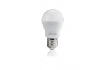 Bulbs L3-031