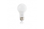 Bulbs L3-047
